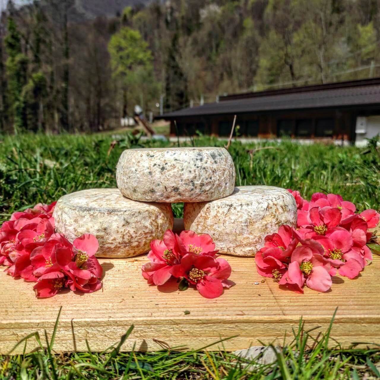 Tomini di Capra